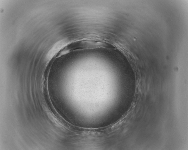 X0000087310242200705041656