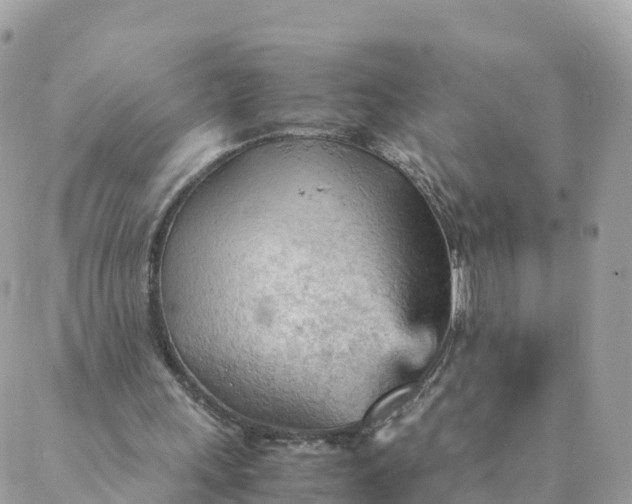 X0000087310243200705041656