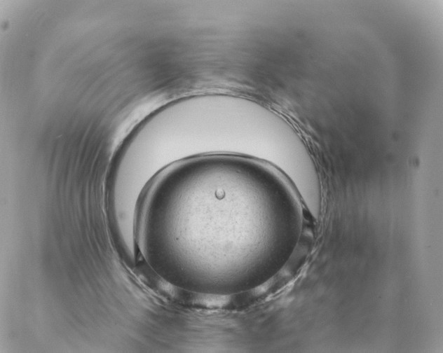 X0000087310244200705041656