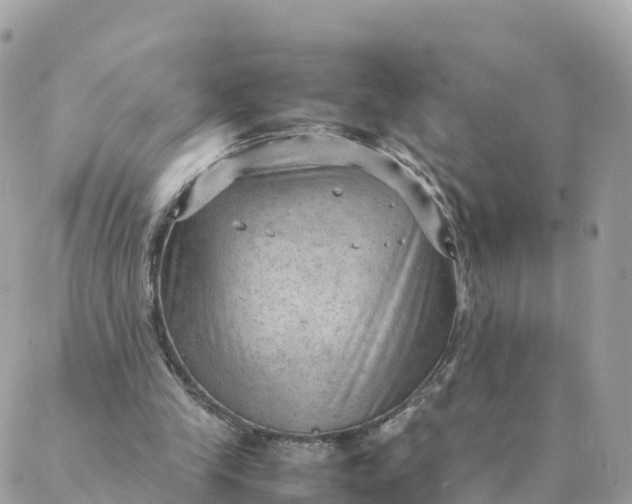 X0000087310245200705041656