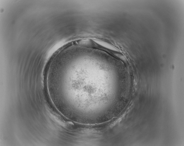 X0000087310246200705041656