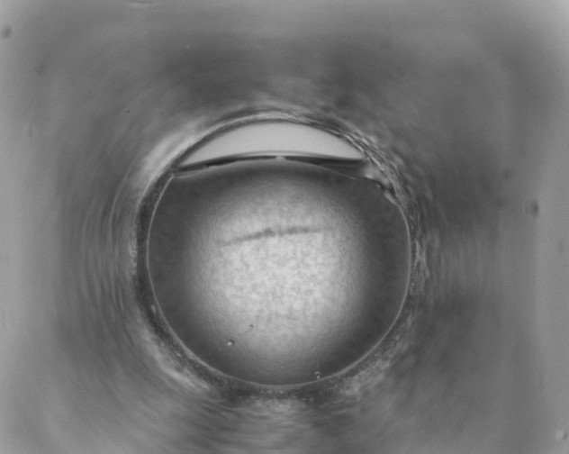 X0000087310247200705041656