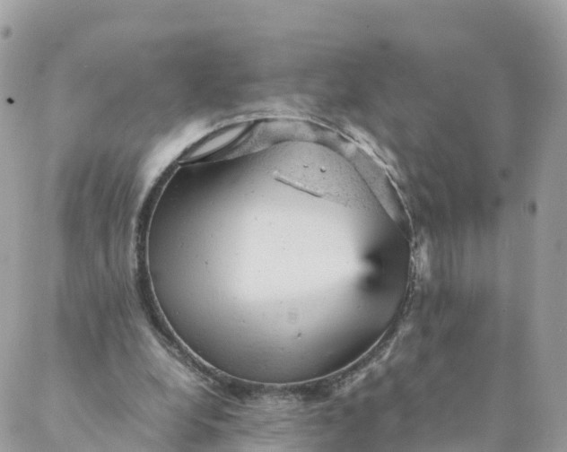 X0000087310248200705041656