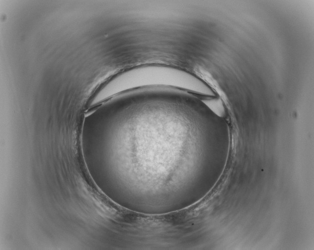 X0000087310249200705041656