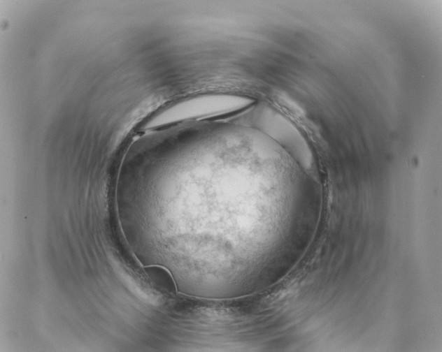 X0000087310250200705041656