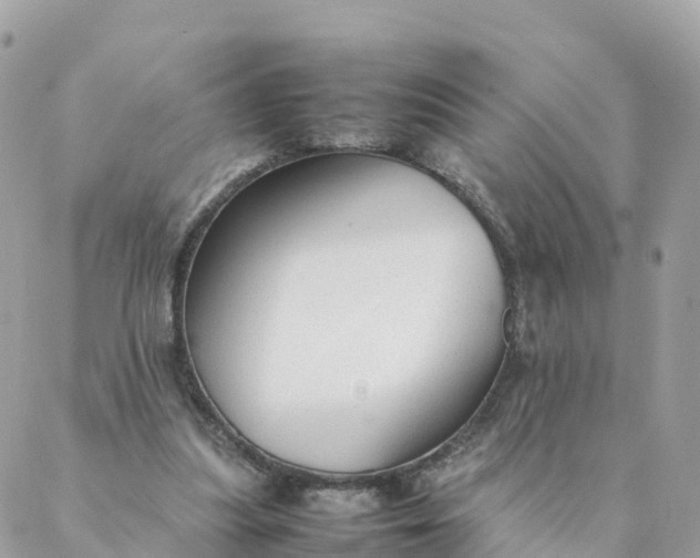 X0000087310251200705041656