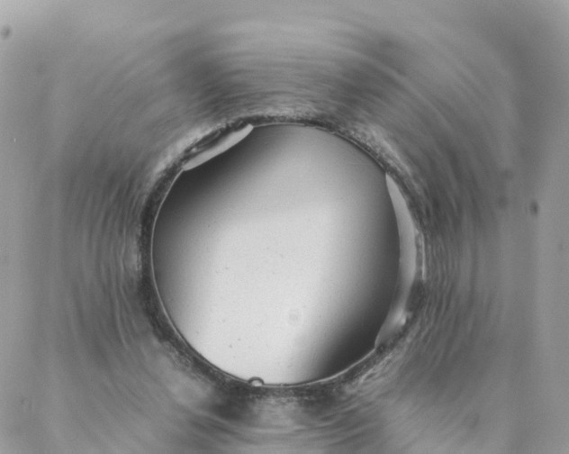 X0000087310252200705041656