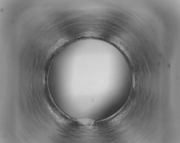 X0000087310253200705041656