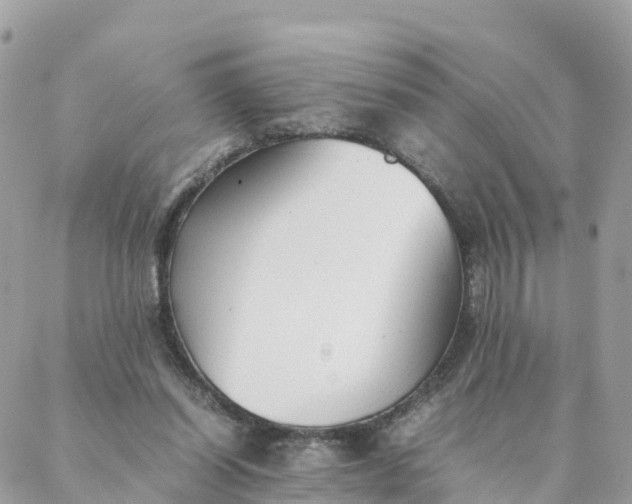 X0000087310254200705041656