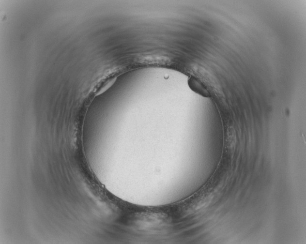 X0000087310255200705041656