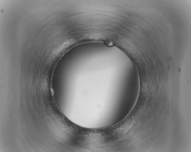 X0000087310256200705041656