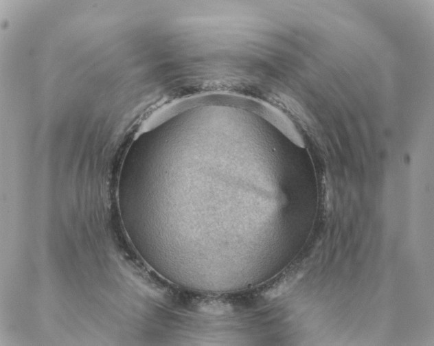 X0000087310258200705041656