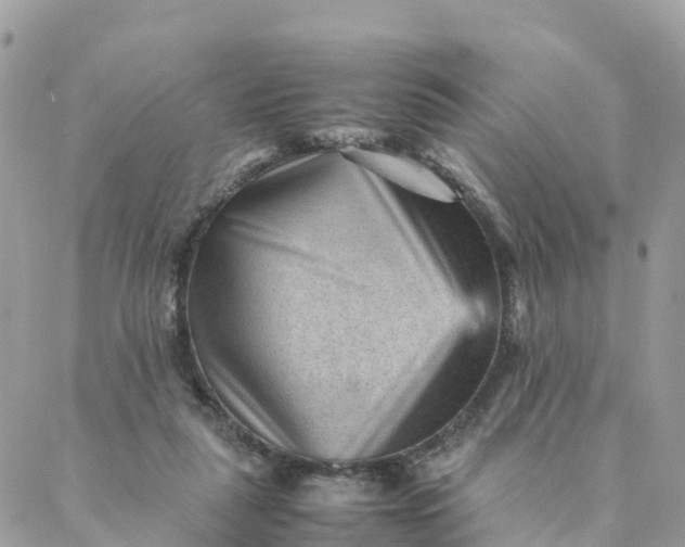 X0000087310259200705041657