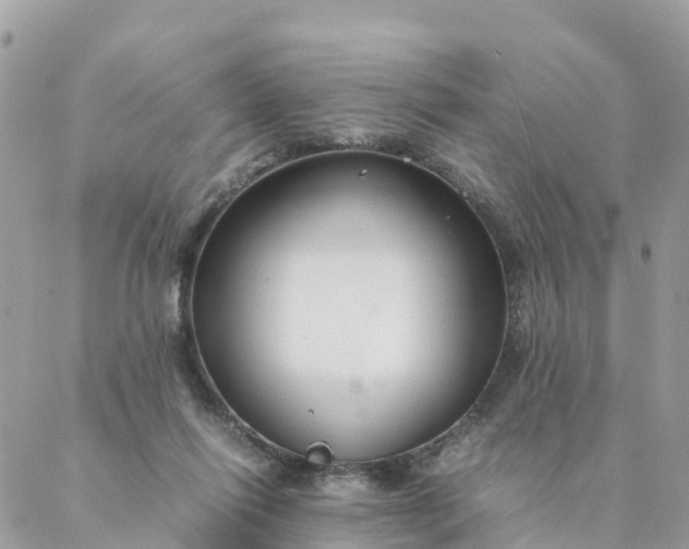 X0000087310262200705041657