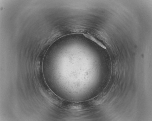 X0000087310263200705041657