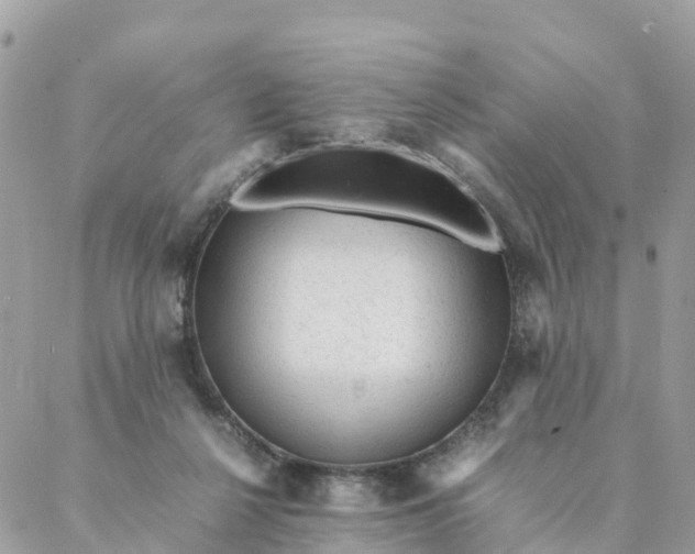 X0000087310264200705041657