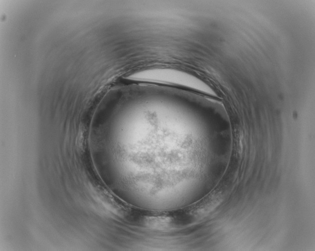 X0000087310266200705041657