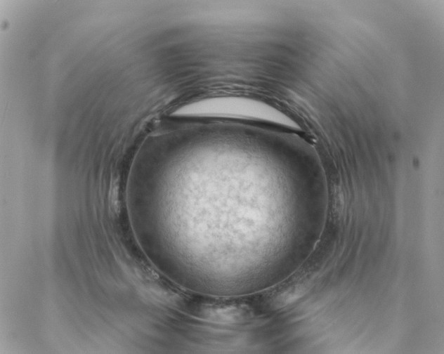 X0000087310267200705041657