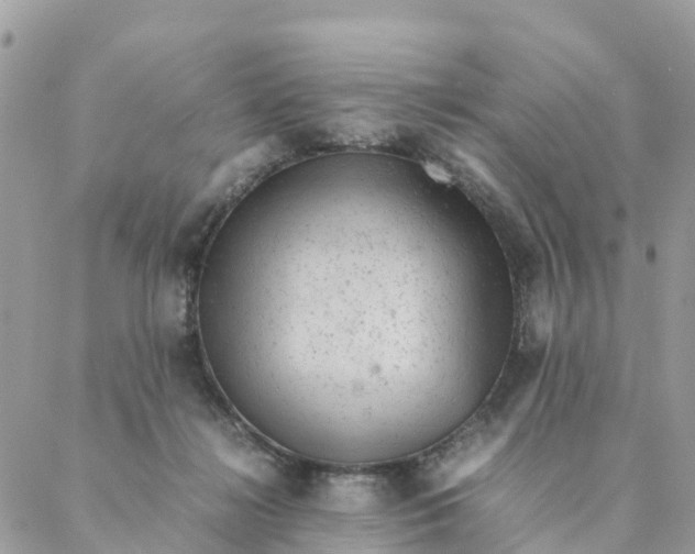 X0000087310268200705041657