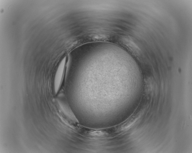 X0000087310269200705041657