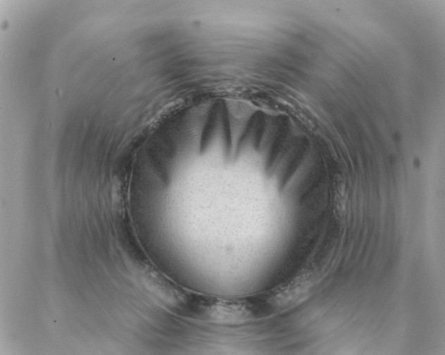 X0000087310270200705041657