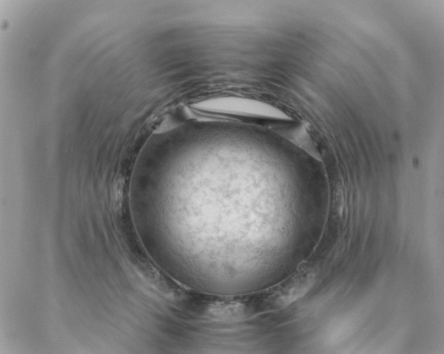 X0000087310271200705041657