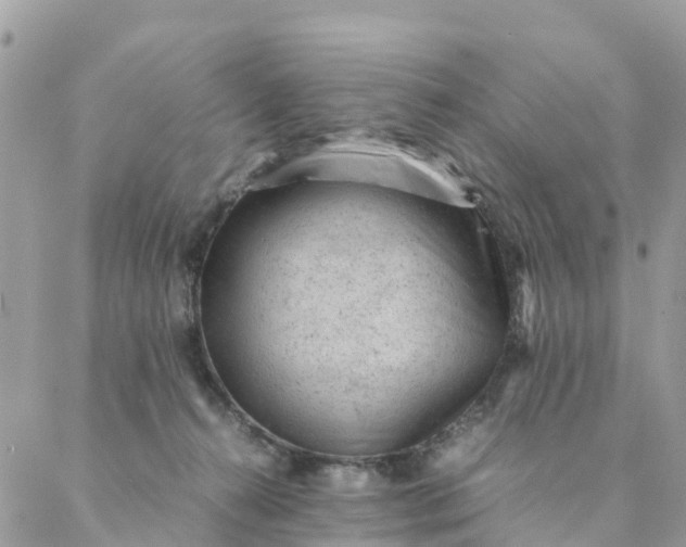 X0000087310272200705041657