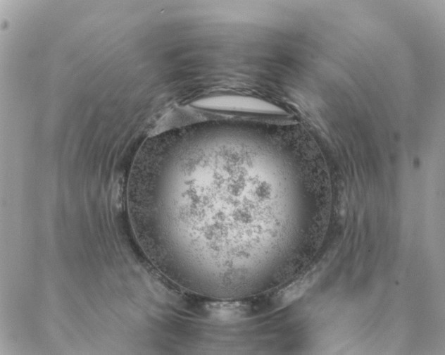 X0000087310273200705041657