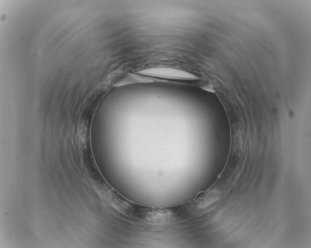 X0000087310274200705041657