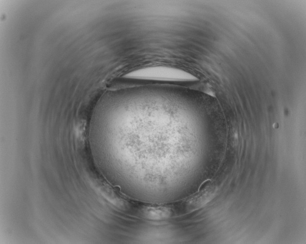 X0000087310275200705041657