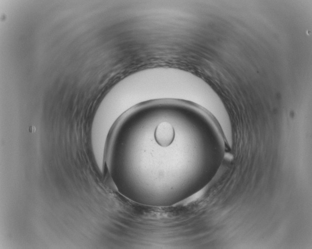 X0000087310276200705041657