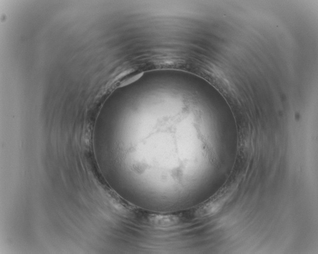 X0000087310277200705041657