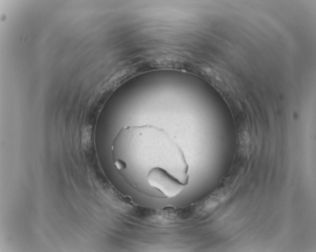 X0000087310278200705041657