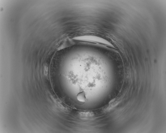 X0000087310281200705041657