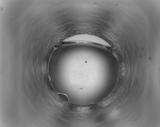 X0000087310283200705041657