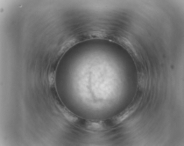 X0000087310285200705041657