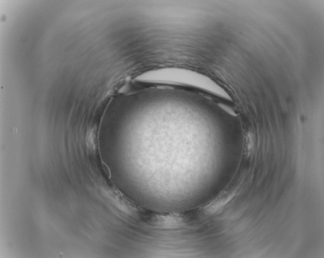 X0000087310286200705041657