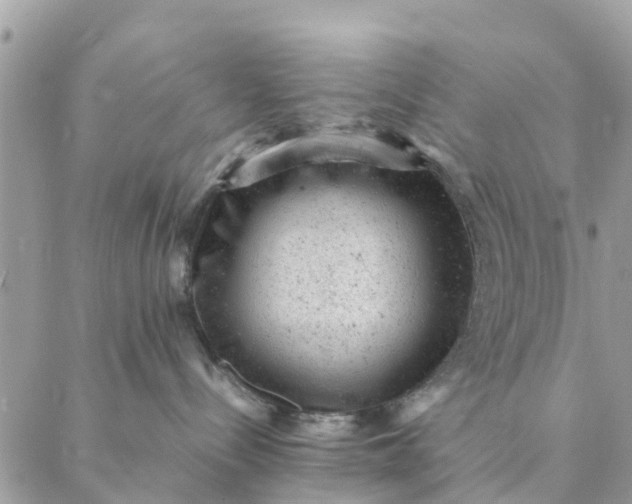 X0000087310288200705041657