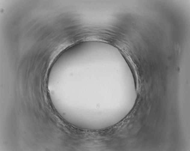 X0000087310289200705041656