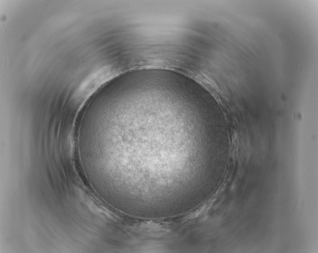 X0000087310290200705041656