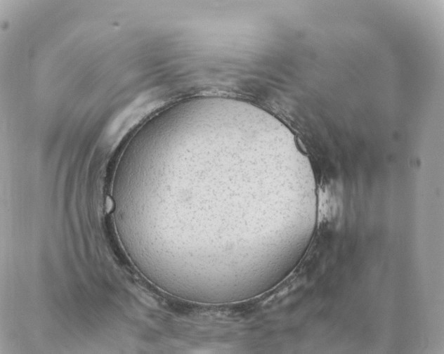 X0000087310291200705041656