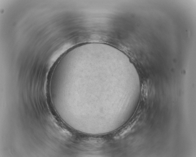 X0000087310292200705041656