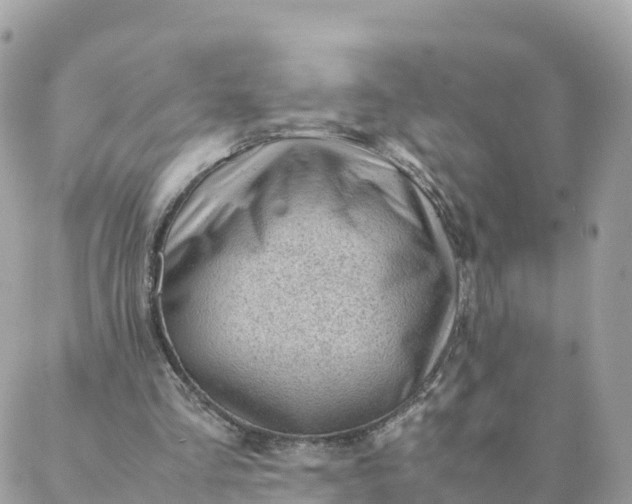 X0000087310293200705041656