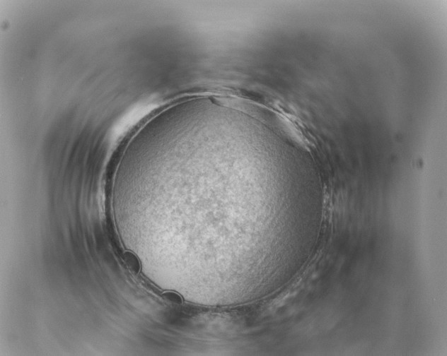 X0000087310294200705041656