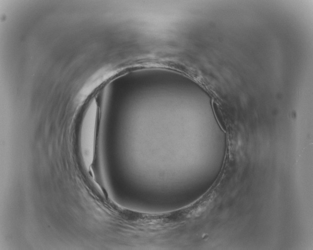 X0000087310295200705041656