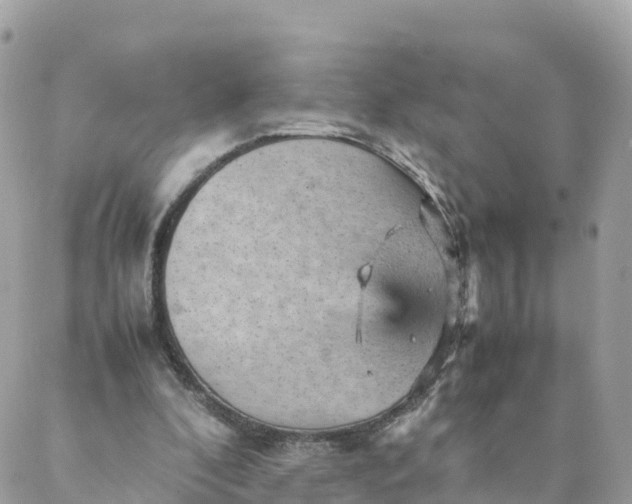 X0000087310296200705041656