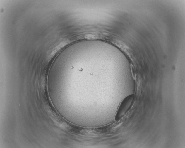 X0000087310297200705041656