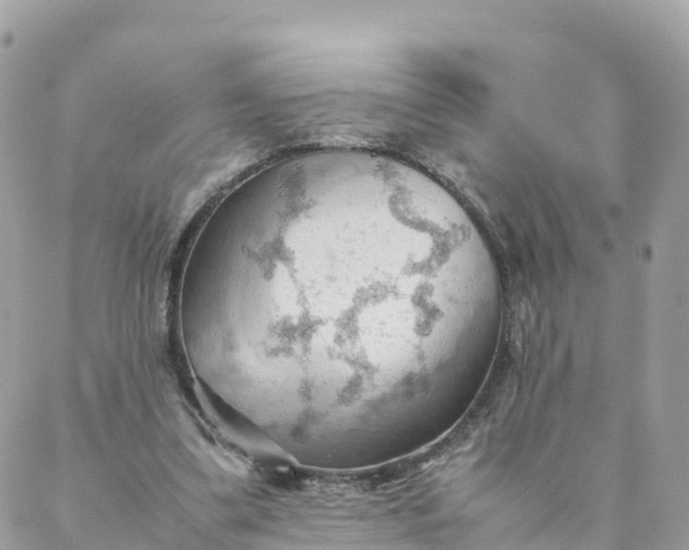 X0000087310299200705041656