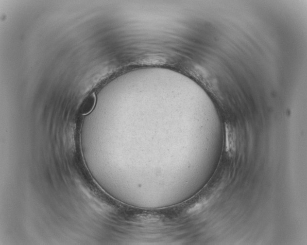 X0000087310300200705041656