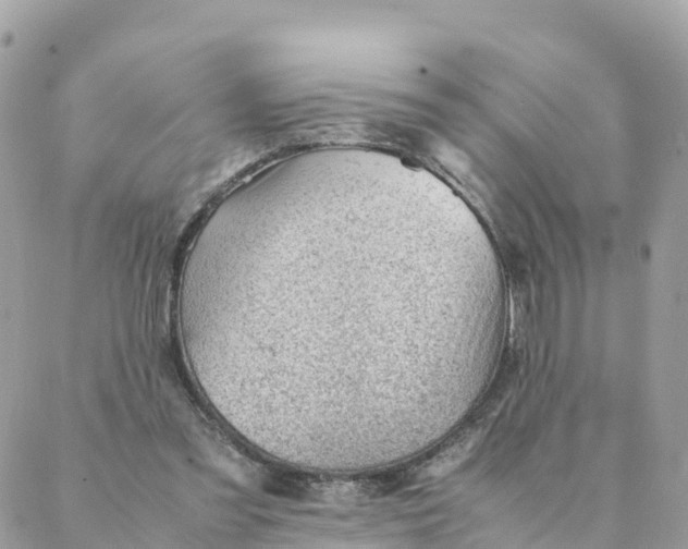 X0000087310301200705041656